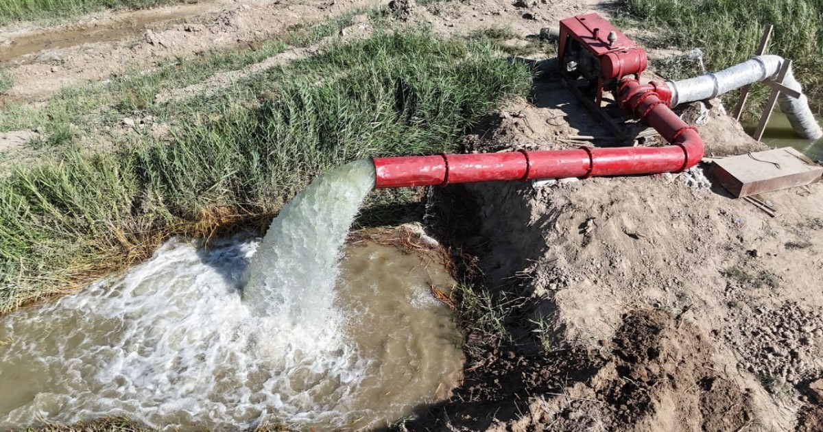 Елімізде судың «қара нарығын» жою үшін іс-шаралар жоспары қабылданады