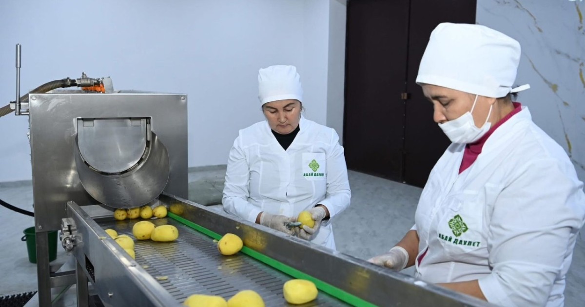 Қызылорда облысында биыл 28 мыңға жуық адам тұрақты жұмыспен қамтылды