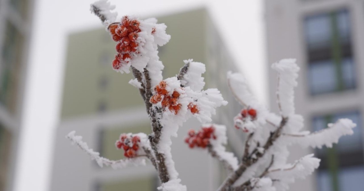 Бүгінгі Астананың ауа райы болжамы