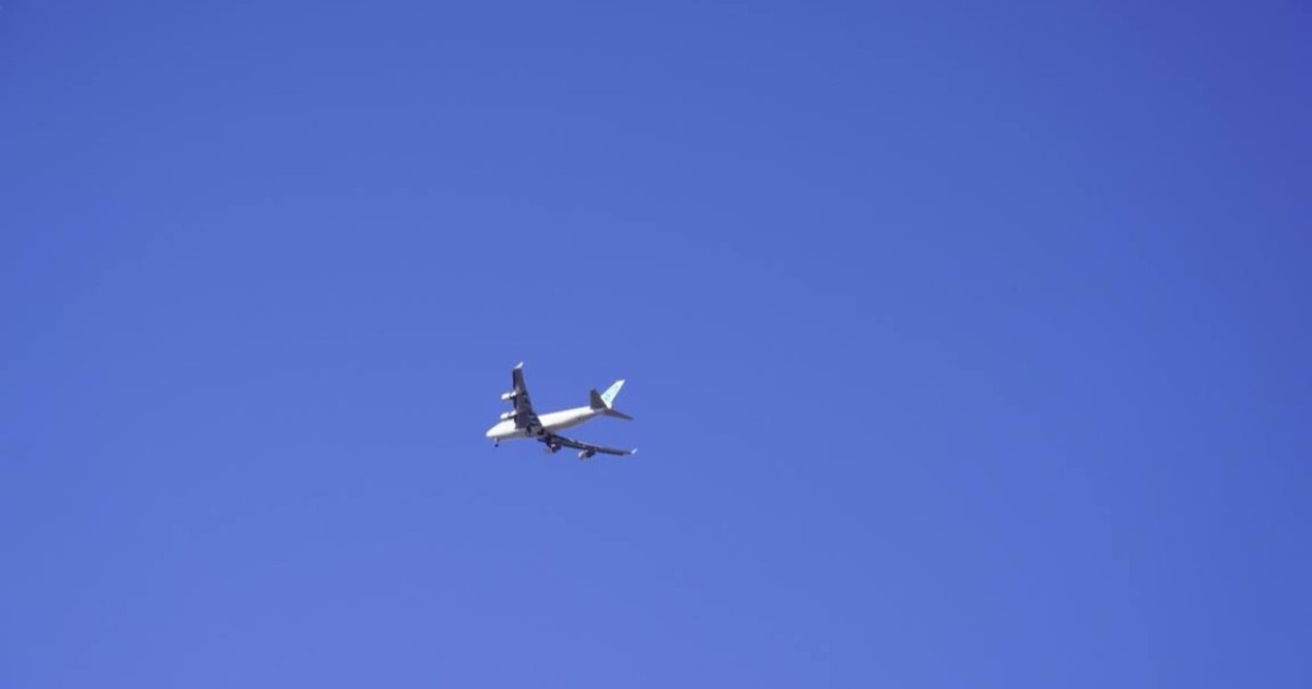 Ұшақта қызметкерлерге күш қолданған әйелдің бас бостандығы 4 жылға шектелді