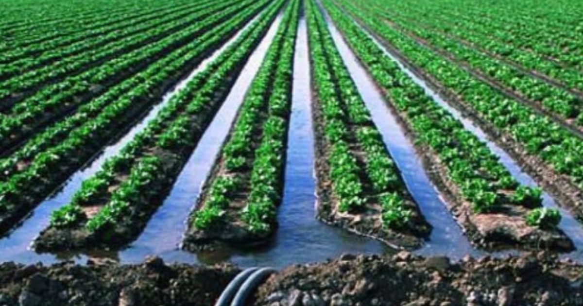 Тұтынушылардың құқығын бұзған суару суын жеткізушілерге 17,8 млн теңге айыппұл салынды