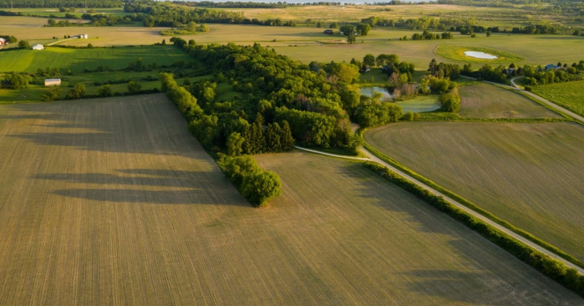 Талдықорғанда прокурорлар заңсыз берілген 4,1 гектар жер учаскесін  мемлекетке қайтарды