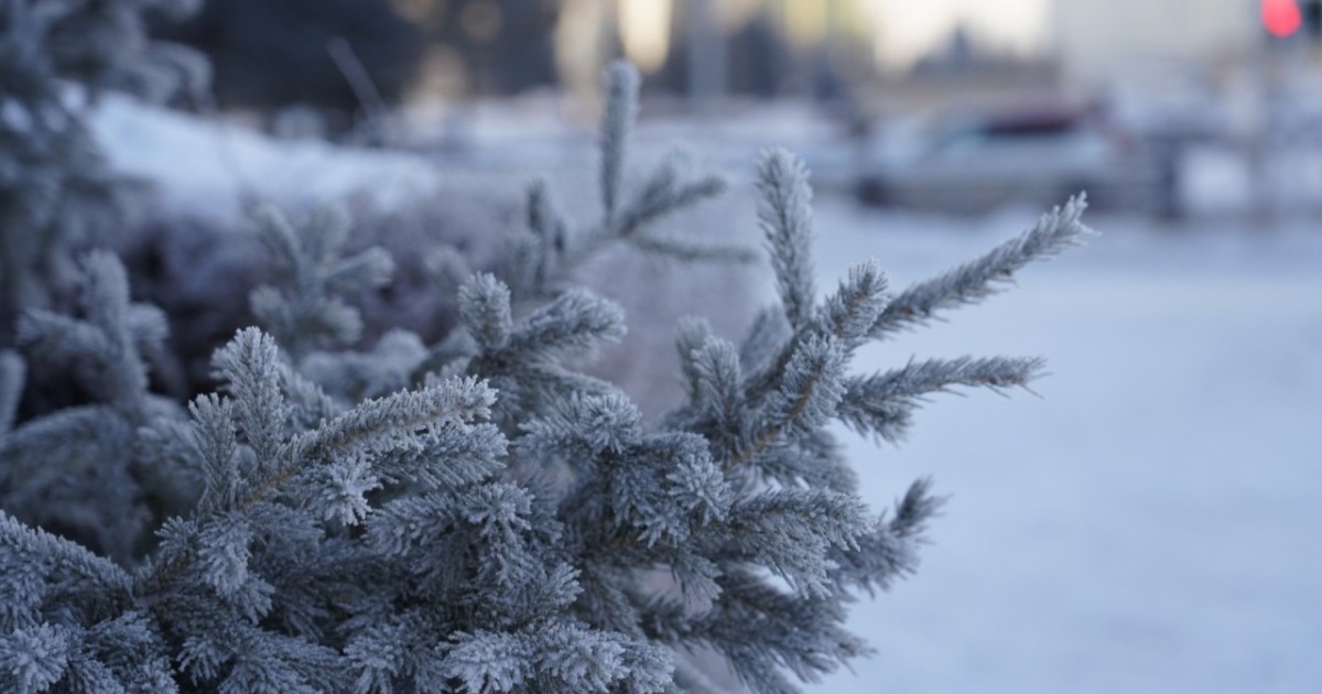 Қазақстанда алдағы күндері -38 градус аяз болады