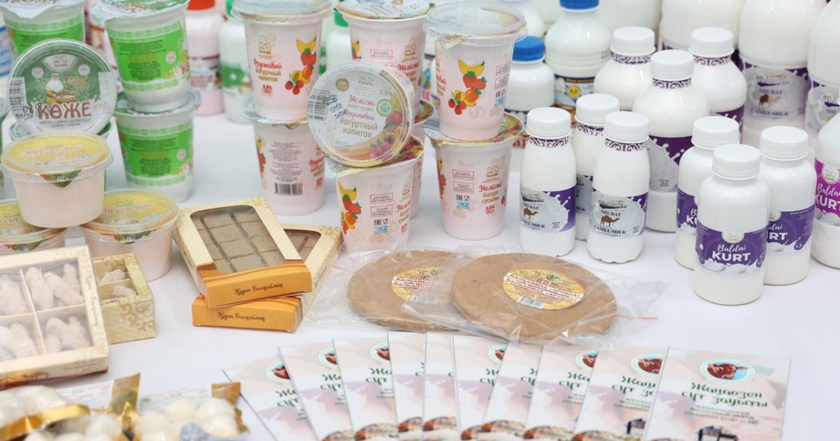 Жаңаөзен қаласында құрғақ түйе сүтін өндіретін цех ашылды