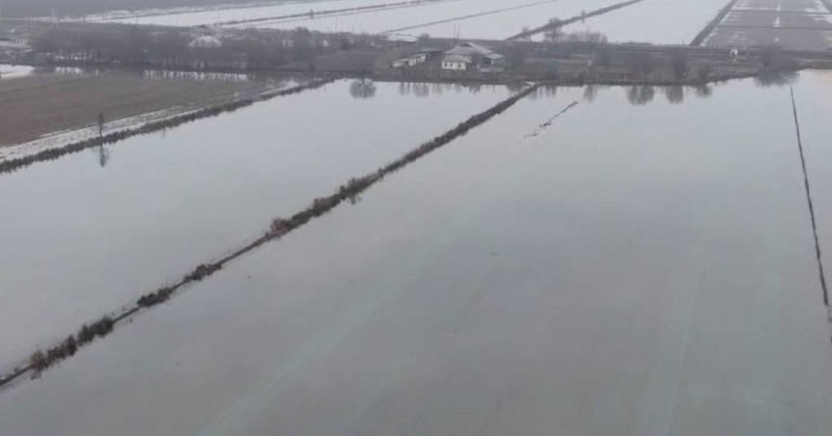 Түркістан облысында 100 мың гектардан астам сортаң жер суармалы егістікке дайындалады