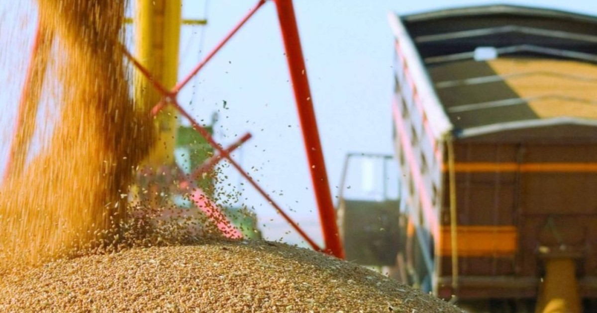 АШМ: Өзбекстан, Қырғызстан және Ауғанстанға астық экспорты күрт өсті