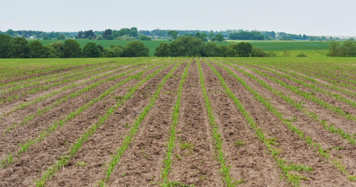 Ауыл шаруашылығы министрлігі жерлерді қайта бөлу жоспарын әзірледі