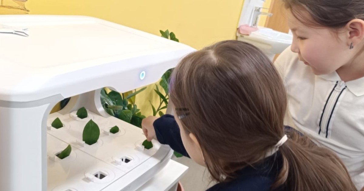 Астаналық оқушылар жылыжайда өсімдіктер өсіреді