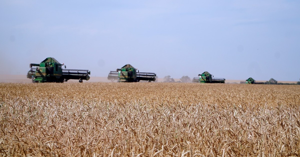 Рекордтық көрсеткіш: соңғы екі жылда 50 млн тоннадан астам астық жиналды