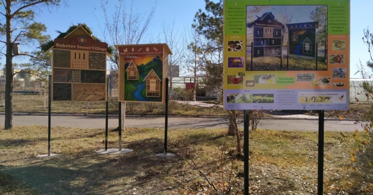 Бөкетов университетінде пайдалы жәндіктерге арналған «қонақ үй» ашылды