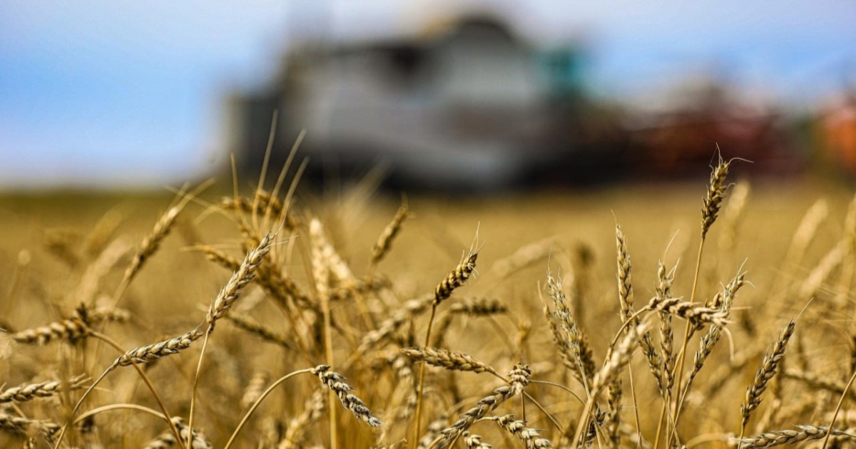 Қазақстанда агроөнеркәсіп кешеніндегі терең өңдеу жобалары жүзеге асып жатыр