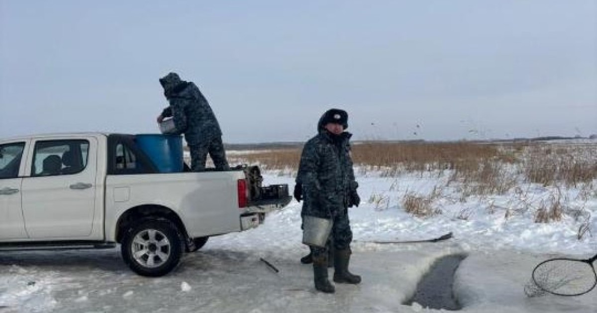 СҚО-да балықтар қырылмауы үшін көлдерді аэрациялау жүргізіліп жатыр