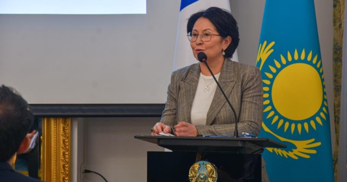 Францияда Қазақстанның жаңа Конституция жобасы таныстырылды