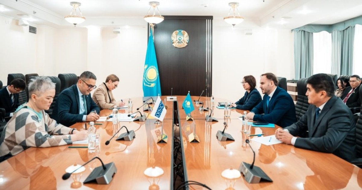 Жаңа Конституция жобасы бойынша референдумға дайындық ЕҚЫҰ өкілдерімен талқыланды