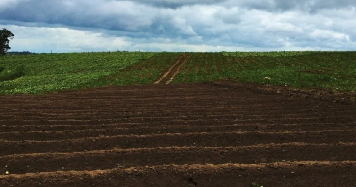 Түркістан облысында 3 мың гектар жер мемлекет меншігіне қайтарылды