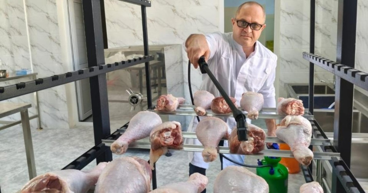 Қазақстан ғалымдары құс етін сақтауды 3 есеге дейін ұзартатын технология әзірледі