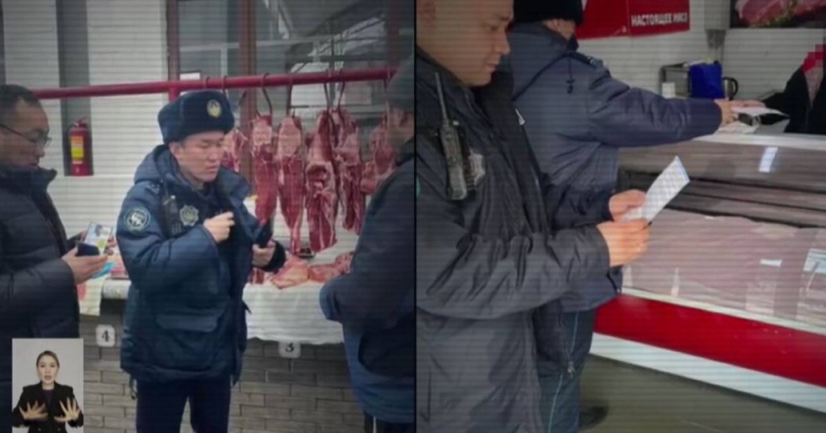 Полицейлер үш күнде 500-ге жуық ұрланған малды иелеріне қайтарды