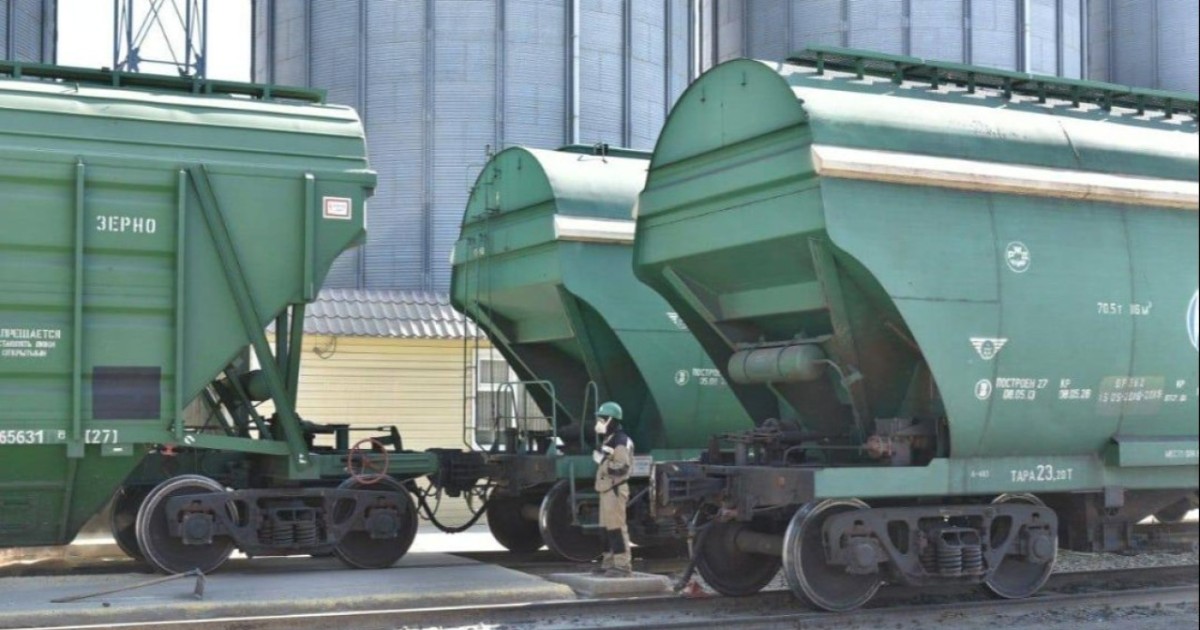 АШМ: 11,1 млн тонна астық пен ұн экспортталды