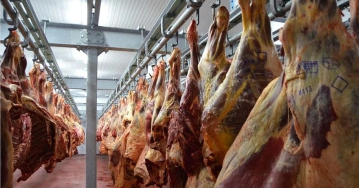 Елімізде барлық ет түрлерін өндіру көлемі 338 мың тоннадан асты