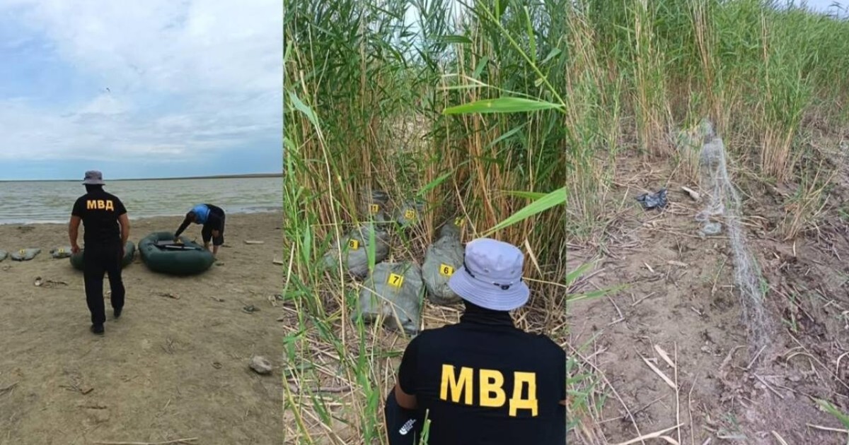 Полиция Ақтөбе облысында ерекше қорғалатын аумақта заңсыз балық аулаудың жолын кесті