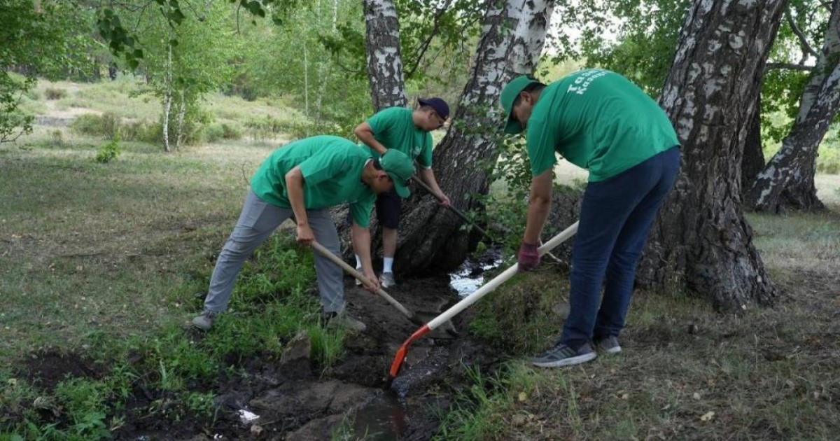 Елімізде «Мөлдір бұлақ» экологиялық акциясының екінші кезеңі басталды