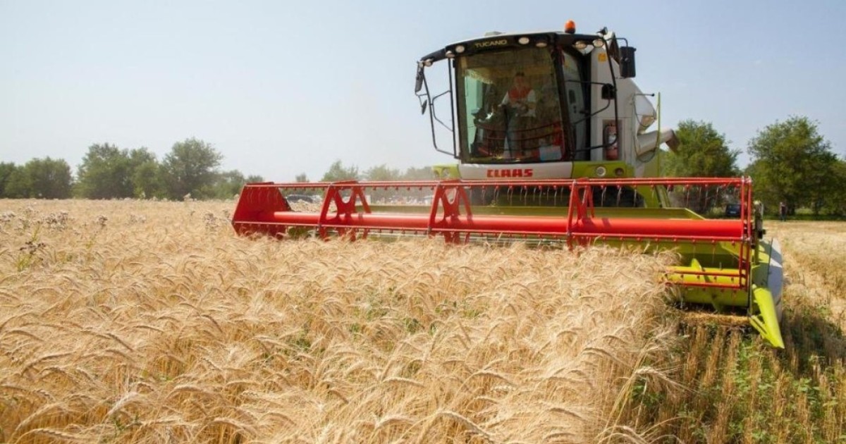 Елімізде 634 мың тонна дәнді дақыл бастырылды