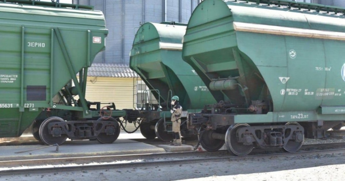 Елімізде бір жылда астық экспорты 12,5%-ға өсті