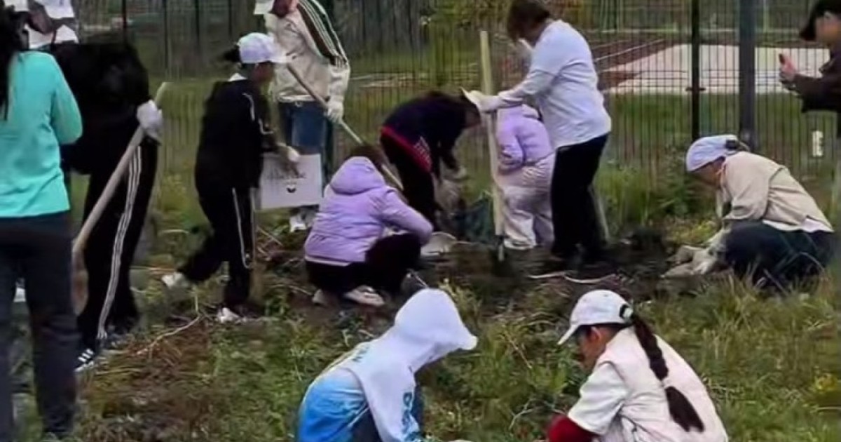 Астаналық оқушылар өсірген көкөніс мектеп асханасына берілді
