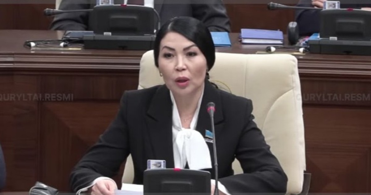 Депутат педагог-ассистенттердің 16 сағаттық оқу жүктемесін бекітуді ұсынды