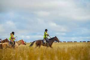 «Ұлы дала жорығы» марафон-бәйгесінің жеңімпазы анықталды