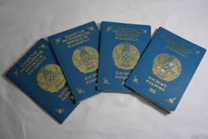 Биыл қанша этникалық қазақ қандас мәртебесін алды