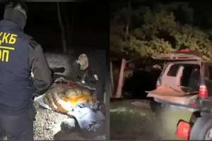 Ақтөбе облысында полицейлер мал ұрлығына күдіктілерді қылмыс үстінде ұстады