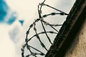 Конституцияның отыз жылдығына орай кімдерге рақымшылық жасалады