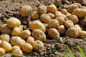 Әлеуметтік маңызы бар азық-түлік тауарларының бағалары өзгерді