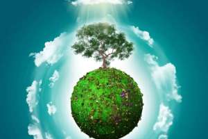 Түркістан облысында полигондардың 70%-ы экологиялық талапқа сай емес