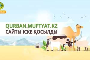 Онлайн құрбан шалуға арналған qurban.muftyat.kz сайты іске қосылды