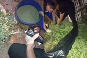 Ақтөбеде ауыл тұрғынынан 56 келі марихуана тәркіленді