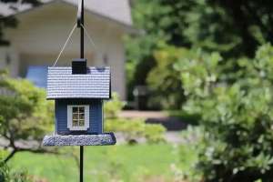 Жетісу облысында тұрғын үйлердің құрылысы кезінде бюджет қаражатын жымқыру фактісі анықталды