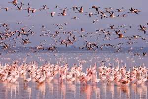 Қазақстанда туристер ең аз баратын ТОП-5 ерекше бағыт