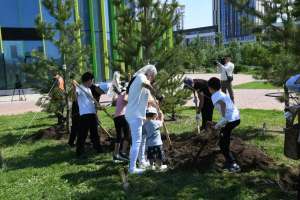 Елімізде республикалық «Отбасы ағашы» акциясы өтті