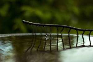 Елімізде Су ресурстарын реттеу, қорғау және пайдалану комитеті құрылды