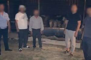 Үш өңірде мал ұрлығымен айналысқан қылмыстық топтар ұсталды