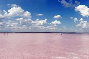 Ақмола облысындағы Көбейтұз көлін полиция қайта бақылауға алды