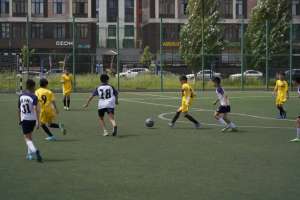 Қазақстанда қанша адам спортпен шұғылданады