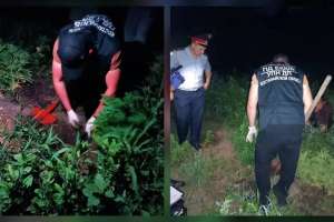 Қостанай облысында бақшасында каннабис өсімдіктерін өсірген күдікті ұсталды