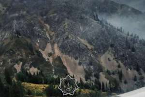 Жетісу облысындағы орман өрті өшірілді (ВИДЕО)