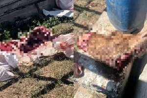 Ақтөбе облысында бұланды заңсыз атқан тұрғын анықталды