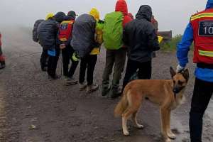 Алматы тауларында жоғалып кеткен студенттің мәйіті табылды