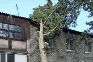 Павлодар облысында болған қатты дауыл салдарынан бір адам қайтыс болды