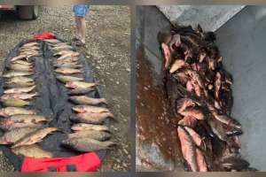 «Бурабай» ұлттық паркінде заңсыз балық аулаған браконьерлер ұсталды